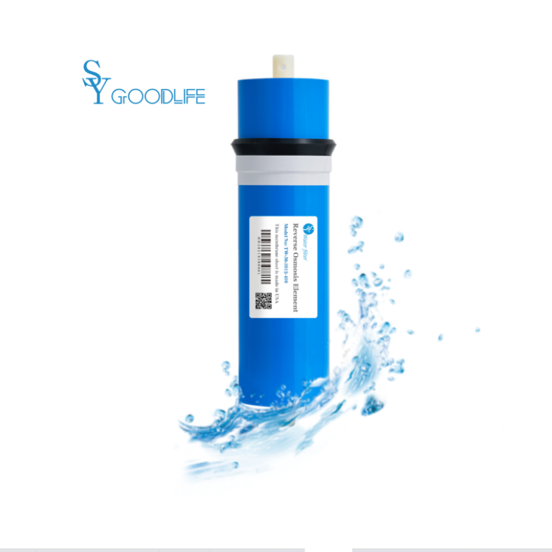 SY GOODLIFE DF-56 Filtro Acqua A Osmosi Inversa Sottolavello - Senza Serbatoio E Senza Elettricità - Membrana RO 0,0001 µm