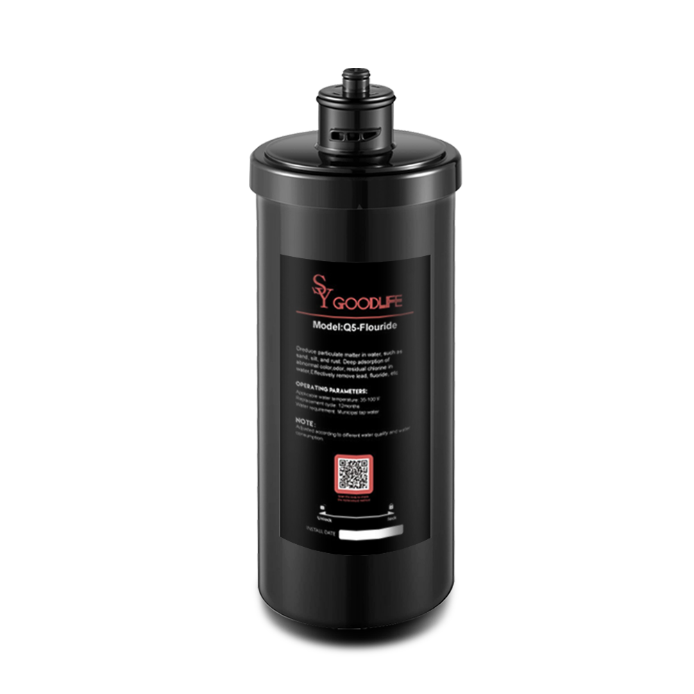 Cartouche de rechange SYGOODLIFE Q5-F(AS) pour filtre à eau sous évier, réduit le fluorure 